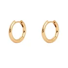 Gold Plated Earrings Earringearring Dainty Classic Gold Huggie 925 Silver Gold Plated Hoop Earrings Women