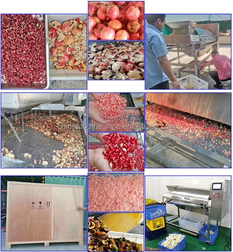 Lotus Seeds Skin Removing Passion Fruit Making Peeling Juice Machine Processing Line Pomegranate Peeler Machine factory