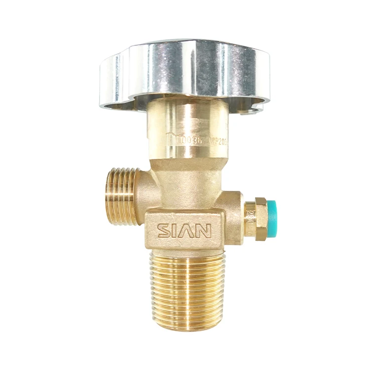 co2 safety valve factory