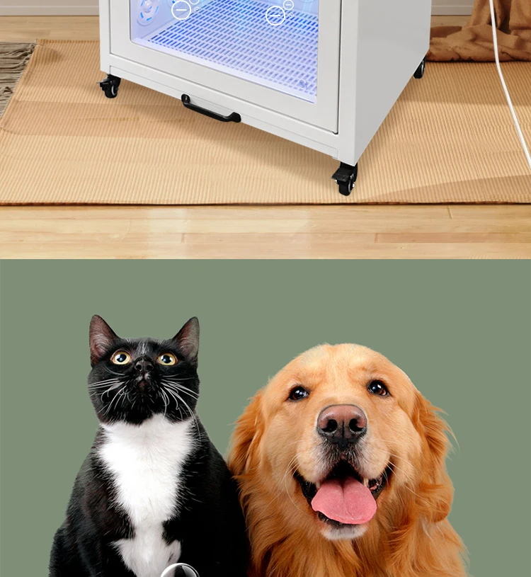 G5-S Hot Sale New Design Cat and Dog Hair Dryer Cabinet Small Pet Dryer Machine Pet Water Blower China Factory Direct Supplier