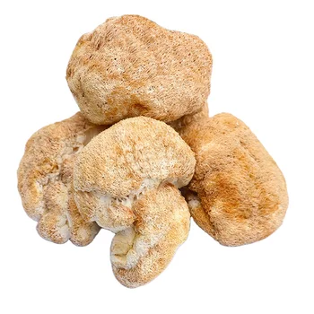 Hot Selling Good Price Dried Hericium Erinaceus Mushrooms For Extract ,Cooking