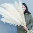 Wedding Dried Pampas Grass Large 150cm/65cm Flower Bouquet Artificial Reed Decor Room Wedding Decor