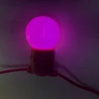 Price Low String Factory Cheap Price 12v 24v Low Voltage String Lights Landscape