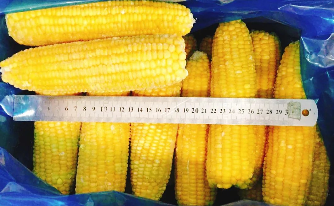 Factory Price Frozen Sweet Corn Cob Frozen Maize details