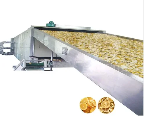 dehydrated vegetable Continuous belt Conveyor Tunnel drying machine