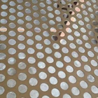 Hot Sale Sieve Sheet Metal Stainless Steel Perforated Sheet Coil Mesh Circle