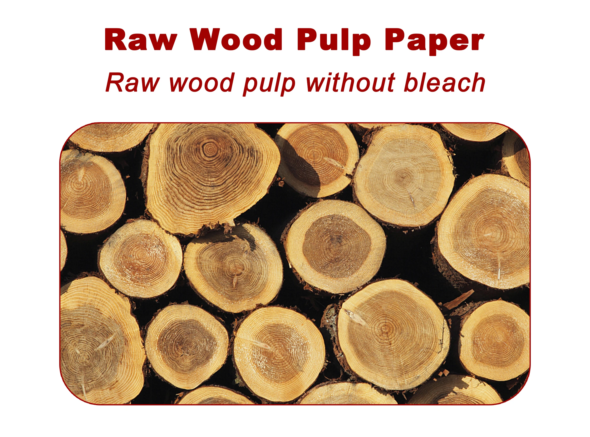 Custom Logo Printed Disposable Bio-Degradable Single Wall Paper Cup for Coffee and Milk Tea Customized