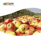 Fruit Apple Apple AGOLYN Fresh Fruit Sweet Juicy Royal Gala Apple