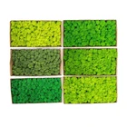 Green Hot Selling Fashion Deep Green Simple And Luxurious Java Moss Living Moss Wall