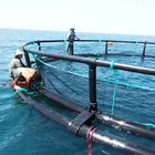 Kenya HDPE Floating Cage Fishing Farm In Lake Victoria