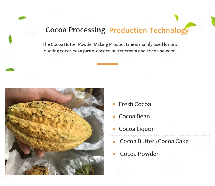 High Efficiency Cacao Bean Powder Production Making Machine Line Price Butter Cocoa Processing Plant details