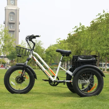 Fast Delivery Meigi Etrike Dwmeigi Electric Tricycle For Sale W