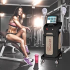 Lose Renasculpt 3 Handles 10 Tesla Lose Weight Muscle Stimulatione Emslim Ems Sculpting Beauty Machine