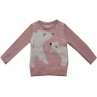 Hoodies For Children Plush Hoodies Latest Designs Fashion For Baby Girls Winter Kid Sweaters
