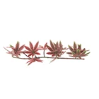 Flowers Environmentally Friendly Simulated Flowers Green Plants Artificial Garden Lawn Artificial Boxwood