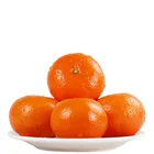 Orange High Quality Natural Sweet Juicy And Fresh Citrus Size70/75/80/85# Mandarin Orange