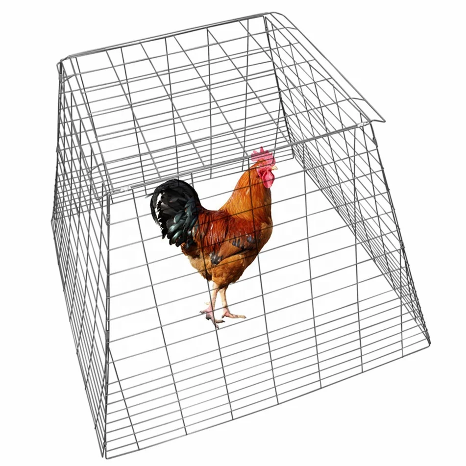 Pyramidal Chicken Coop Breeding Cage - Buy Galvanized Drop Pens,Scratch Pen  For Gamefowl,Gamefowl Fly Pens Cages Product on Alibaba.com