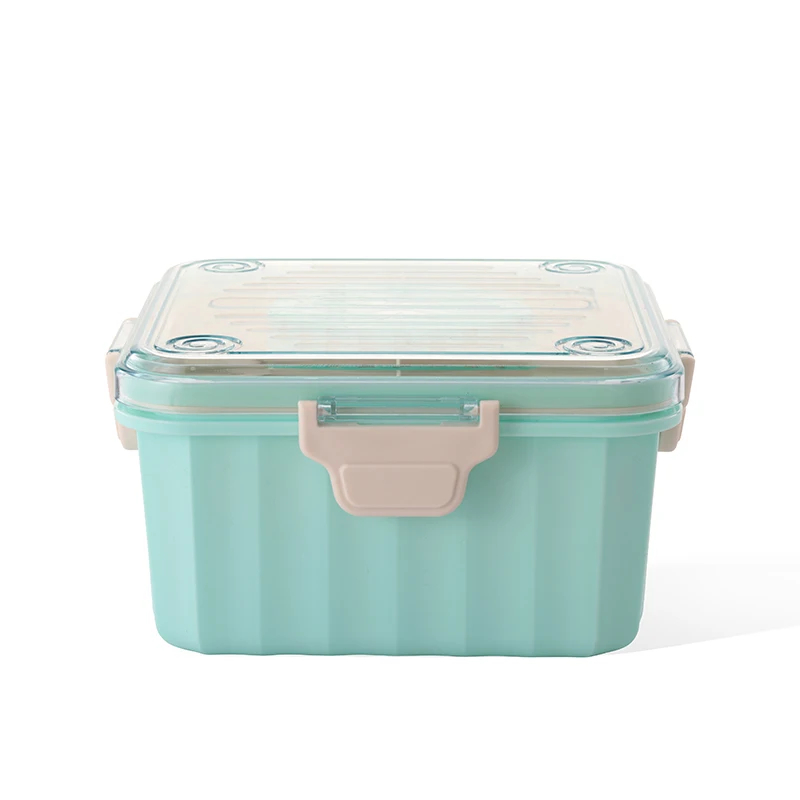 Customized Color 2.15L Bento Plastic Food Container Lunch Box 2 grids with Soup Bowl and Handle