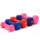 Equipment Non-slip Neoprene Dumbbell/gym Equipment Dumbbell Set Home Exercise For Ladies
