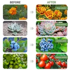 Led Led Led Grow Light Indoor 1 2 3 Heads Usb Socket High Quality Led Grow Light For Indoor