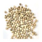 Factory Chemical Factory Supply Water Treatment Price Industrial Chemical Ozone Catalyst