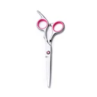 Barber Beauty Hair Salon Scissors Razor Edge Hair Cutting Scissors Professional