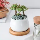 Garden Modern White Ceramic Flower Pot With Bamboo Tray Wholesale Mini Succulent Plant Pot For Garden