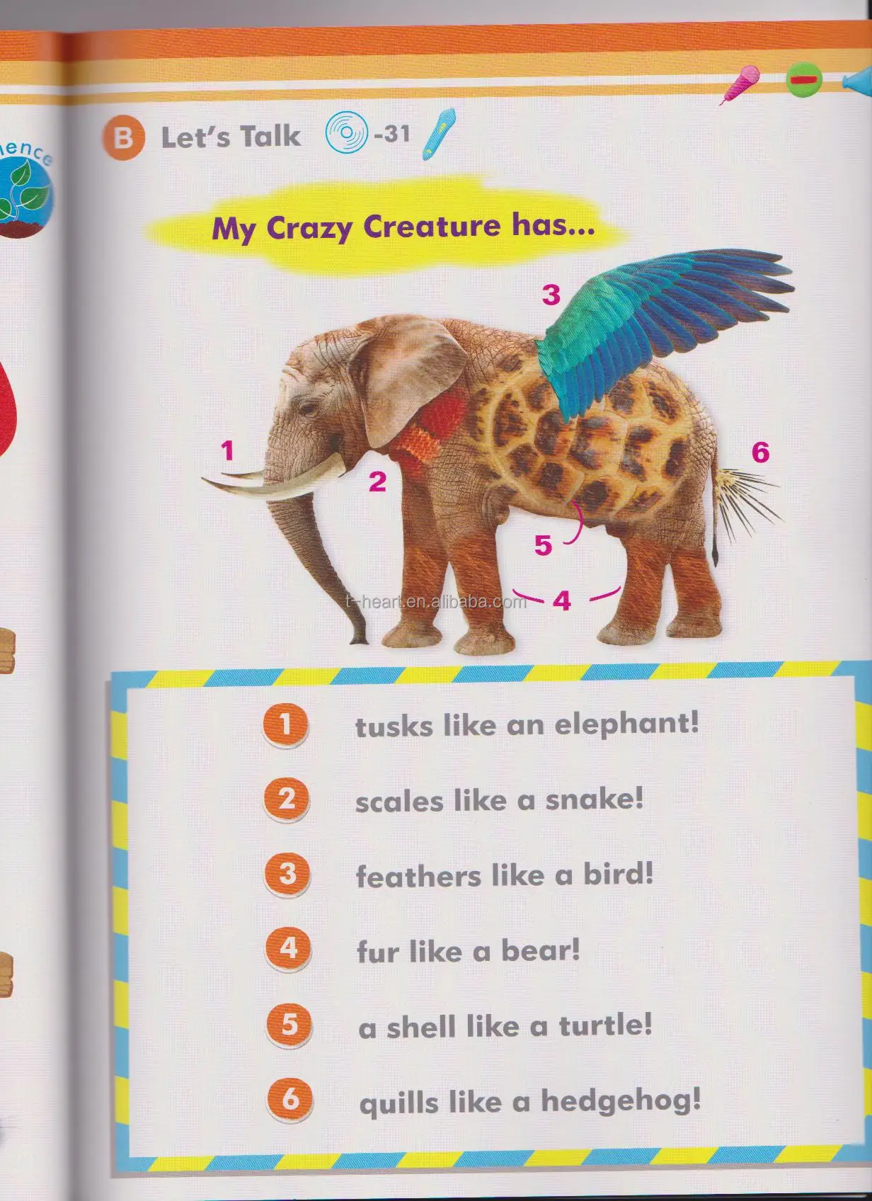 彩色印刷CLIL英语学习动物有声读物