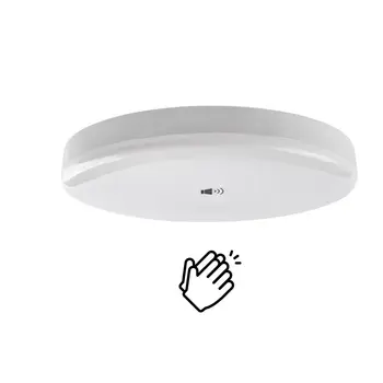 Good Quality Adjustable Light Fixture Remote Control White Ce Certification Light Ceiling