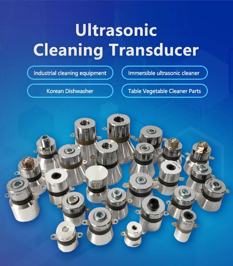 cleaning-transducer_01.jpg