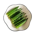Chips Wholesale Price Okra Vegetables Chips Okra Prices