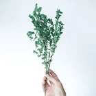 Flowers Flower Gift Natural Flowers Dried Flower Bouquet For Decoration New Year Gift
