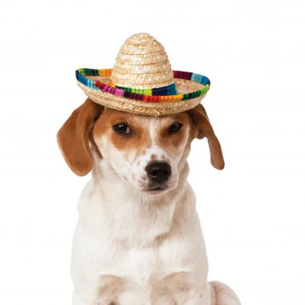 CHDHALTD Dog Sombrero Hat,Adjustable Chihuahua Cosplay Cap,Mini Straw Sombrero Hats,Fashion Dog Sombrero Hat Cap for Pet Cat Puppy Dog,Mexican Party Costume Clothes Decoration for Pets