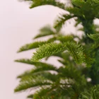 Table Commercial Look Real Luxury Pe Wholesale Ornaments Table Decor Miniature Christmas Tree On Sale