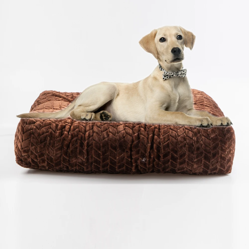 durable dog beds with removable covers