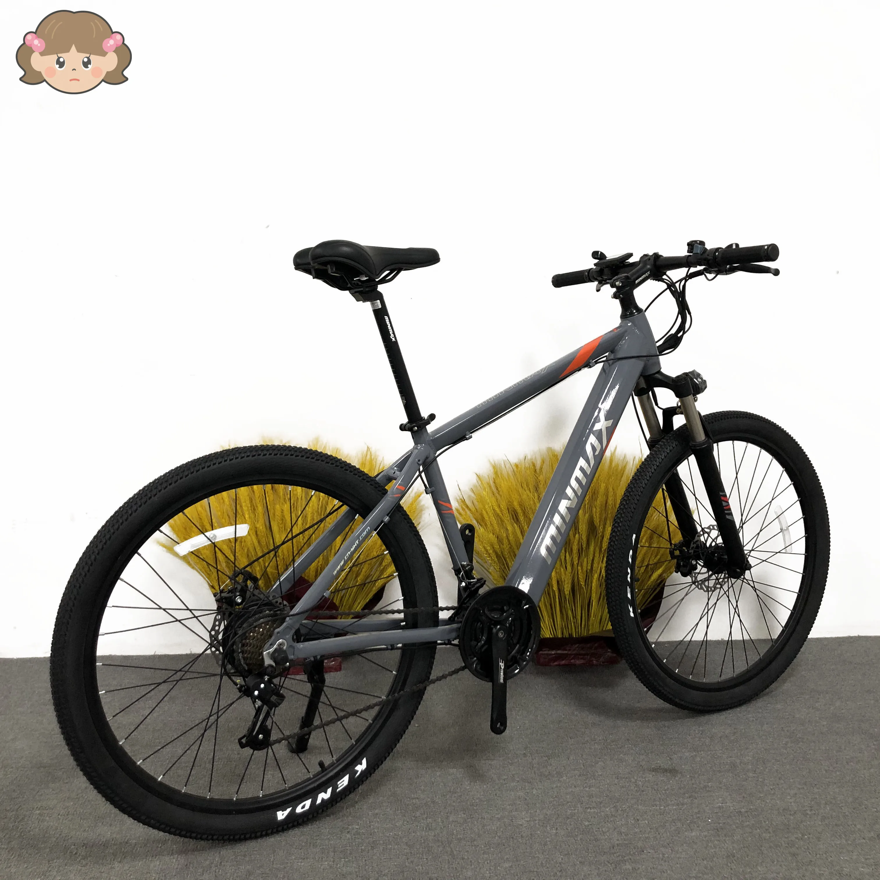 best quality e bike