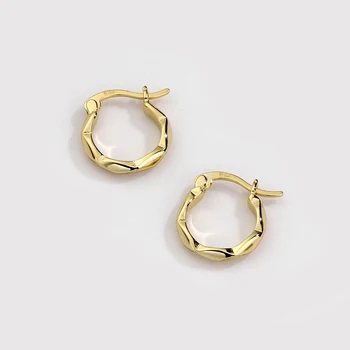 DAMILA Trending Earrings Small Hoop 925 Sterling Silver Twisted 18K Women Gold Hoop Earrings Jewelry