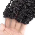 Remy Hair Remy 100% Cuticle Aligned Brazilian Human Lace Closure 100% Virgin Vendor Kinky Curly Raw Indian Hair