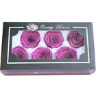 Rose Roses Yunnan Top Selling Preserved Flowers Rose Head A Grade Forever Roses Head
