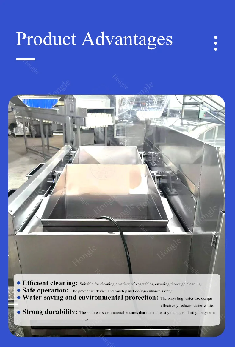 Blueberry and Vegetable Production Line White Radish Washing and Drying Machine for Hotels and Restaurants Used Condition details