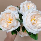 Colors Wedding Silk Rose Flower Heads More Colors For Wedding Party Decorative Artificial Simulation Peony Camellia