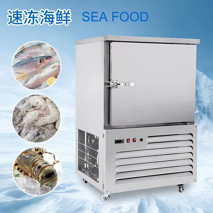Blast Freezer, 220V, 200 - detail 10