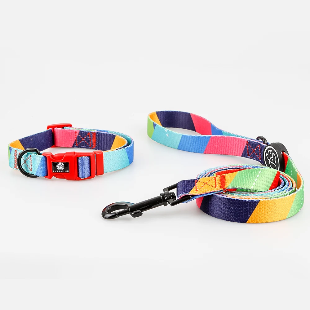 dog leashes and collars for sale