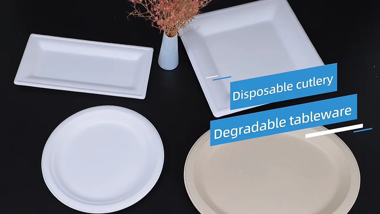 Pfas Free Compostable Disposable Inch Round Bagasse Pulp Paper Plate