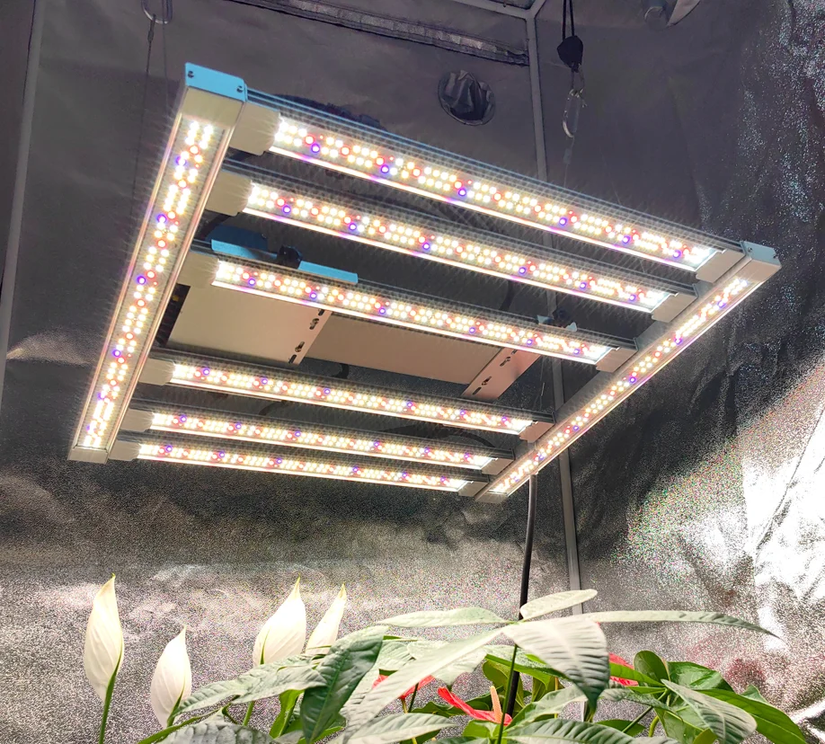 led grow light lm301h Evo grow led 240w 320w grow led lights indoor plants grow tent Marijura medical plants plant grow light indoor led grow 