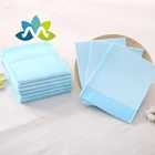 High-quality Dog Baby Pad Pet Training Pad Disposable Pet Pad