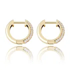 Earring 925 Silver Earrings Hiphop Customized Jewelry 925 Silver Hooks Earring Sterling