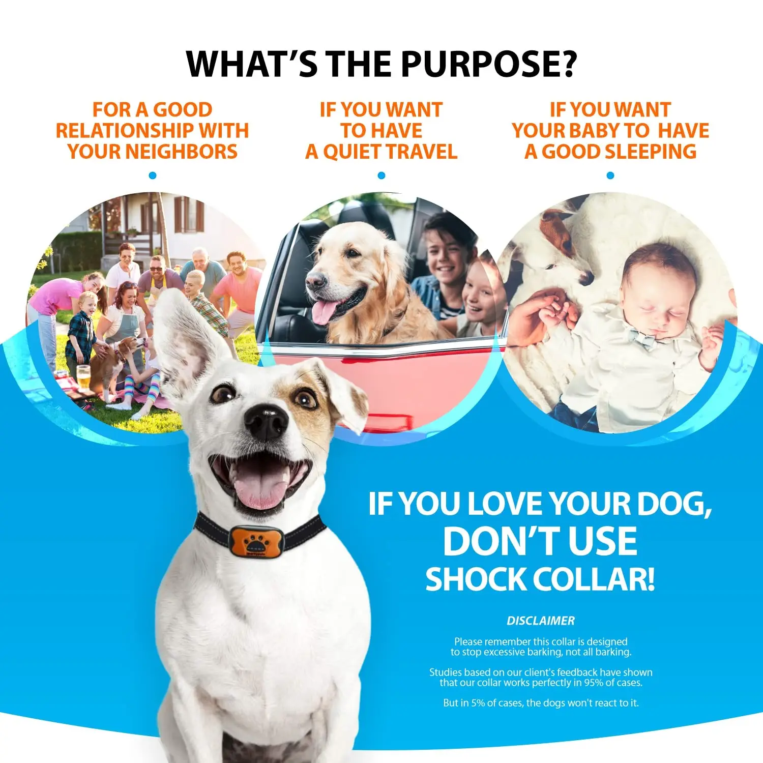  Discover the Best Pet People in Rocky River: Your Ultimate Guide to Pet Care and Community