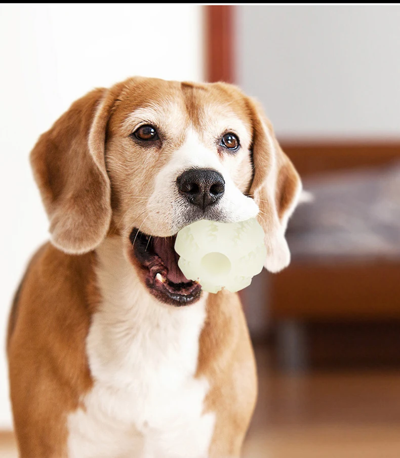 New Hot Selling Glow-in-the-dark Dog Toy Ball Bite-resistant Teeth-grinding Toys Leaky Food Pet Toys Pet Supplies manufacture