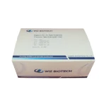 Active Kit High Active Fast Detection Test Diagnostic Kit For IgG IgM Rapid Test Kit